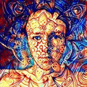 Meet your Posher, Bailey